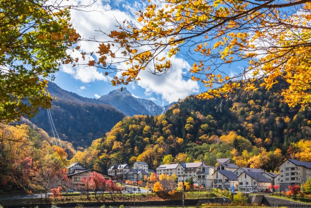 Autumn in Daisetsuzan National Park - 📍Hokkaido – HIS JAPAN