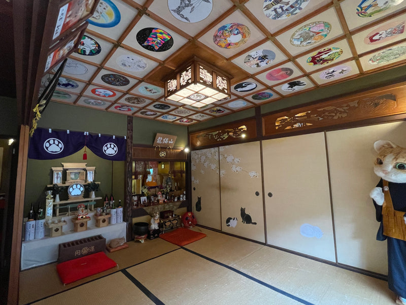 ねこちゃんいっぱいの癒しのお寺 - 📍猫猫寺（にゃんにゃんじ）、京都市