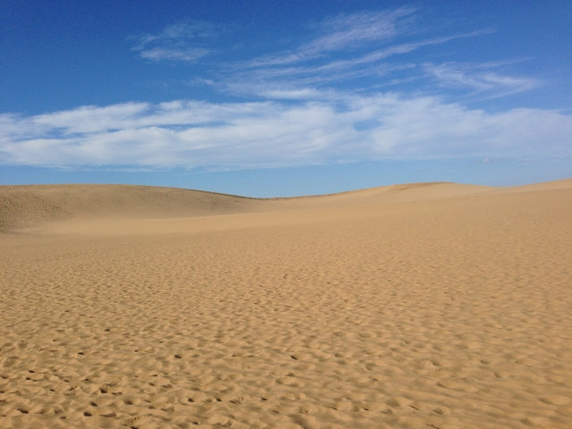 A beautiful landscape - 📍Tottori Sand Dunes, Tottori